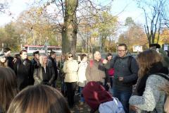 SAM_0853