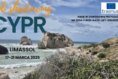 Job-shadowing-Limassol-Cypr_pages-to-jpg-01